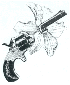 Shoot a flower today!